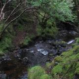 A stream in the woods, somewhere on the Isle of Skye, Scotland.
The stream/creek/small river I spent three hours lying face down in looking for silver nuggets... (Author: Mike Wood)