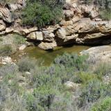 A small stream at the bottom of the small gorge with some pools just large enough to cool off in. (Author: Pierre Joubert)