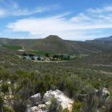 The area surrounding the quartz reef. (Author: Pierre Joubert)