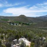 The area surrounding the quartz reef. (Author: Pierre Joubert)