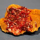 Realgar, Orpiment
Quiruvilla, Santiago de Chuco, La Libertad, Peru
6.6 x 5 cm (Author: Don Lum)