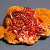 Realgar, Orpiment
Quiruvilla, Santiago de Chuco, La Libertad, Peru
6.6 x 5 cm (Author: Don Lum)