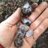 Some quartz grubbed out of the top few inches of not yet frozen top soil. (Author: vic rzonca)