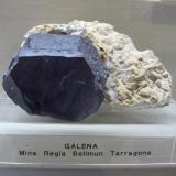 Galena
Mina Regia, Bellmunt del Priorat, Tarragona, Catalunya, España
8x8x5 cm (Autor: jaume.vilalta)