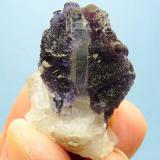 Fluorite, Quartz and calcite.
Orange river, Northern Cape, SA
37 x 23 x 21 mm
Same as above. (Author: Pierre Joubert)