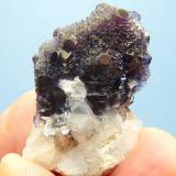 Fluorite, Quartz and calcite.
Orange river, Northern Cape, SA
37 x 23 x 21 mm
Same as above. (Author: Pierre Joubert)