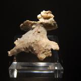 Wind erosion stone
Xinjaing Autonomous Region, China
6.7 cm. (Author: crosstimber)