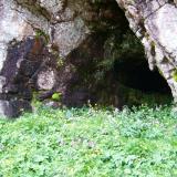 The cave was certainly real, but inside there was no trace of any crystals, not even any quartz on the roof or walls. The only good thing about it, apart from the satisfaction of actually getting there, was the rich variety of flora outside it, and the view. (Author: Mike Wood)