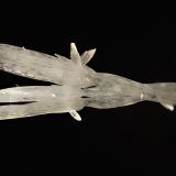 Calcite
Wenshan Mine, Wenshan Co., Yunnan Prov., China
4.0 x 14.0 cm
A divergent group of elongate colorless scalenohedral calcite crystals. (Author: crosstimber)