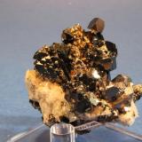 Sphalerite, Galena, Chalcopyrite
2100 foot level, Camp Bird Mine, Ouray, Sneffels District, Ouray Count, Colorado, USA
4.0 x 4.0 x 4.0 cm (Author: Don Lum)