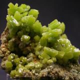 Pyromorphite
San Andrés Mine, Espiel (Villaviciosa de Córdoba), Córdoba, Andalusia, Spain
6 x 5 cm

Same specimen as before, new photo (Author: James)