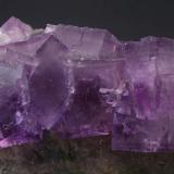 Fluorite
Berbes, Berbes Mining area, Ribadesella, Asturias, Spain
Largest crystal is 4 x 4 cm

Needs the depth of field increasing (Author: James)