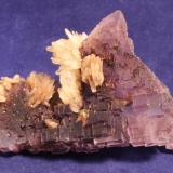 Fluorite, Barite
Annabel Lee Mine, Harris Creek Sub-district, Illinois-Kentucky Fluorspar District, Hardin County, Illinois, USA
8.4 x 6.3 cm
ex Ross C. Lilly (Author: Don Lum)