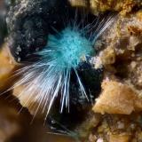 Zalesiita
Concesión La Cena del Depósito, Minas de Cerro Minado, Cuesta Alta, Huércal-Overa, Almería, Andalucía, España.
Campo de visión 2 mm. (Autor: Juan Miguel)