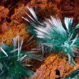 Zalesiita
Concesión La Cena del Depósito, Minas de Cerro Minado, Cuesta Alta, Huércal-Overa, Almería, Andalucía, España.
Campo de visión 2 mm. (Autor: Juan Miguel)