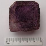 Fluorita
Mina La América 2, Mapimí, Durango, México
4X4X3 cm
Cubo de fluorita morado. (Autor: Luis Edmundo Sánchez Roja)