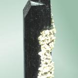 Ferberita
Panasqueira (Aldeia de São Francisco de Assis), Covilhã, Castelo Branco, Cova da Beira, Centro (reg.), Portugal.
8,5x2,3x1,4 cm.
Cristal prismático biterminado parcialmente recobierto de calcita-dolomita.
Ejemplar de 1975-1976 (Autor: Carles Curto)