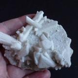 Laumontita, Calcita, ApofilitaLos Taberneros Quarry, (La Cabrera pluton), Los Taberneros, El Berrueco, Comarca Sierra Norte, Community of Madrid, Spain8 x 7 cm. (Autor: javier ruiz martin)