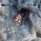Cinabrio, DolomitaMina El Entredicho, Almadenejos, Comarca Valle de Alcudia, Ciudad Real, Castilla-La Mancha, EspañaCristal de unos 2 mm. (formato macro) (Autor: javier ruiz martin)