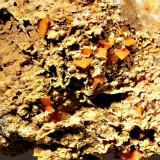 Wulfenite
Manhan Lead Mine, Loudville, Hampshire Co., Massachusetts, USA
5.0 x 5.5 cm
Tabular orange wulfenite crystals to 3 mm on quartz matrix. (Author: crosstimber)