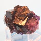 Fluorite
Esperanza Mine near Melchor Muzquiz, Coahuila, Mexico
6.0 x 5.5 cm (Author: Don Lum)