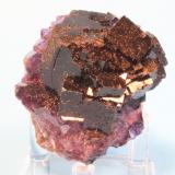 Fluorite
Esperanza Mine near Melchor Muzquiz, Coahuila, Mexico
6.0 x 5.5 cm (Author: Don Lum)