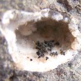 óxidos de manganeso sobre ’mesolita-natrolita’<br />Agaete, Gran Canaria, Provincia de Las Palmas, Canarias, España<br />Geoda de 3cm<br /> (Autor: canada)
