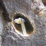Escolecita
Barranco de las Angustias, El Paso, La Palma, Islas Canarias, España
Micro, 0’5 cm. la vacuola
Vacuola de medio cm (Autor: canada)
