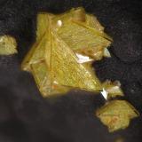 Beudantita
Tharsis, Alosno, Huelva, Andalucía, España
fov 1 mm
encontrada en 2011 (Autor: Rewitzer Christian)
