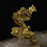 Gold
Eagle&rsquo;s Nest. Michigan Bluff. Placer Co. California. USA
FOV 18,83mm
1x. Focus rail MacroRail. Canon EOS 600D. Ikea lights
Photo: Oscar Fernández Arcís Mineral: Manuel de Torres (Author: ofarcis)