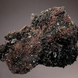Gaudefroyite
N’Chwaning II Mine, Kuruman, N. Cape Prov., South Africa
7.1 x 10.5 cm
Lustrous black crystals of gaudefroyite covering a druse of dark red andradite crystals. (Author: crosstimber)