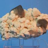 Quartz (var Smoky), Microcline
Papachacra Pegmatite, Catamarca Province, Argentina
11.3 x  6.3 cm (Author: Don Lum)
