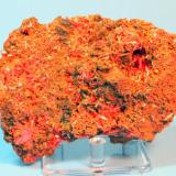 Crocoite
Adelaide Mine, Dundas, Tasmania, Australia
9.7 x 6.5 cm (Author: Don Lum)