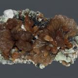 Stilbite
Prospect Park Quarry, Prospect Park, Passaic County, New Jersey, USA
9.7 x 6.2 cm
Lustrous, chocolate stilbite with prehnite and calcite (Author: Frank Imbriacco)