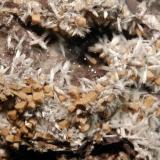 Bultfonteinite
N’Chwaning II Mine, Kuruman, N. Cape Prov., South Africa
5.5 x 10.0 cm, FOV=5.0 cm
Multiple bowtie groups of white, acicular bulfonteinite crystals with blocky, beige-colored olmiite crystals on dark matrix. (Author: crosstimber)