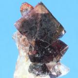 Fluorite, Quartz
Orange River Area, Northern Cape Province, South Africa
37 x 25 mm (Author: Don Lum)