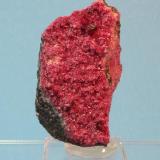 Clinochlore variety kammererite
Kop Daglari, Erzurum Province, Turkey
4.7 x 2.7 cm (Author: Don Lum)