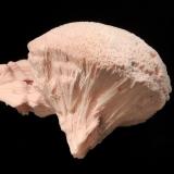 Kutnohorite
N&rsquo;Chwaning II Mine, Kuruman, N. Cape Province, South Africa
4.0 x 6.0 cm
Pale pink mushroom-shaped aggregate of fibrous kutnohorite crystals. (Author: crosstimber)