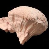 Kutnohorite
N’Chwaning II Mine, Kuruman, N. Cape Province, South Africa
4.0 x 6.0 cm
Pale pink mushroom-shaped aggregate of fibrous kutnohorite crystals. (Author: crosstimber)
