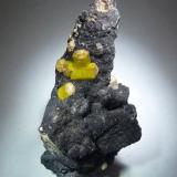 Ettringita
N´chwaning, Northem Cape Pro, Sudáfrica
80x50 mm. (Autor: Jesus Franquesa Baucells)