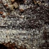 Phillipsita
La Isleta, Gran Canaria, Islas Canarias, España.
Ancho de imagen 5 cm.
Phillipsita sobre roca volcánica. (Autor: María Jesús M.)