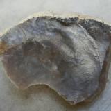 Cuarzo (silex)
Barranquillo de Don Zoilo, Las Palmas, Islas Canarias, España
Ancho de imagen 5 cm
Roca sedimentaria a base de óxido de silicio. (Autor: María Jesús M.)
