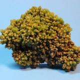 Pyromorphite
Daoping Mine, Gongcheng City, Gongcheng County, Guilin Prefecture, Guangxi Zhuang, Autonomous Region, China
11 x 9 cm
Previously posted specimen, better picture (Author: Don Lum)