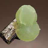 Prehnite
Djouga diggings, Bendougou Village, Bafoulabe Circle, Kayes Region, Mali
3.9 x 4.2 cm
Two intergrown spheres of lime green prehnite on a doubly-terminated crystal of blackish-green epidote. (Author: crosstimber)