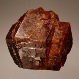 Grossular
Dionboko, Kayes Region, Mali
3.3 x 3.5 cm
An intergrown group of lustrous cinnamon-brown dodecahedral grossular crystals. (Author: crosstimber)