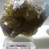Fluorita con cristal de baritina y dololita
Mina Moscona, Solís, Zona Minera de Villabona, Corvera de Asturias, Asturias, España
7 x 5 x 3 cm
 (Autor: DavidSG)
