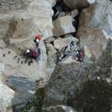 Looking down the ’ladders’. Hard work climbing these with a big heavy rucksack!
Photo taken 2005. (Author: Mike Wood)