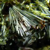 Epidota
Casterner de les Olles, Serra de Sant Gervàs, Tremp, Lleida, Catalunya, España
Abanico de 1.8 cm
Detalle de la foto anterior (Autor: D.N.S.Borràs)
