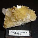 Moscovita
Minas Gerais, Brasil.
50mm - 36mm - 36mm
Mica Estrella. (Autor: Pedro Naranjo)