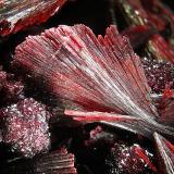 Erythrite
Bou Azzer, Tazenakht, Ouarzazate, Souss-Massa-Draâ, Morocco
fov 8 mm (Author: Rewitzer Christian)